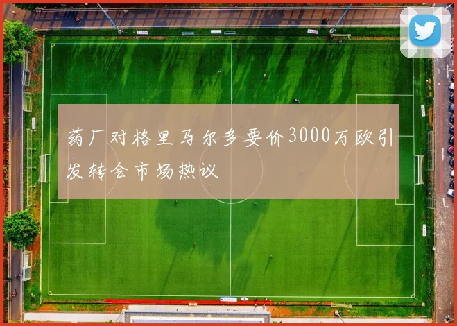 药厂对格里马尔多要价3000万欧引发转会市场热议