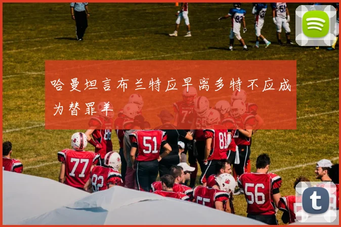 哈曼坦言布兰特应早离多特不应成为替罪羊